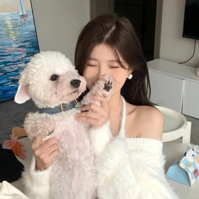 开膛街第一季